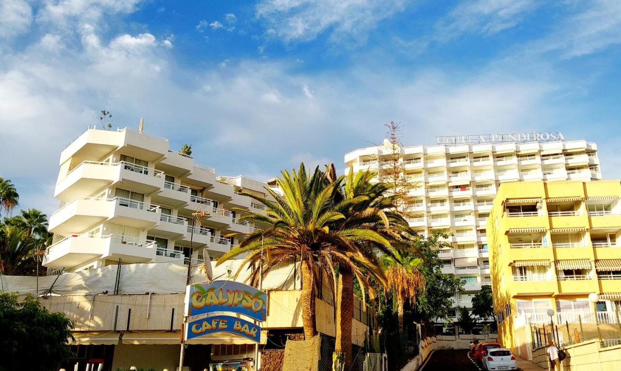 Apartamento Under The Palm Playa de las Américas Exterior foto