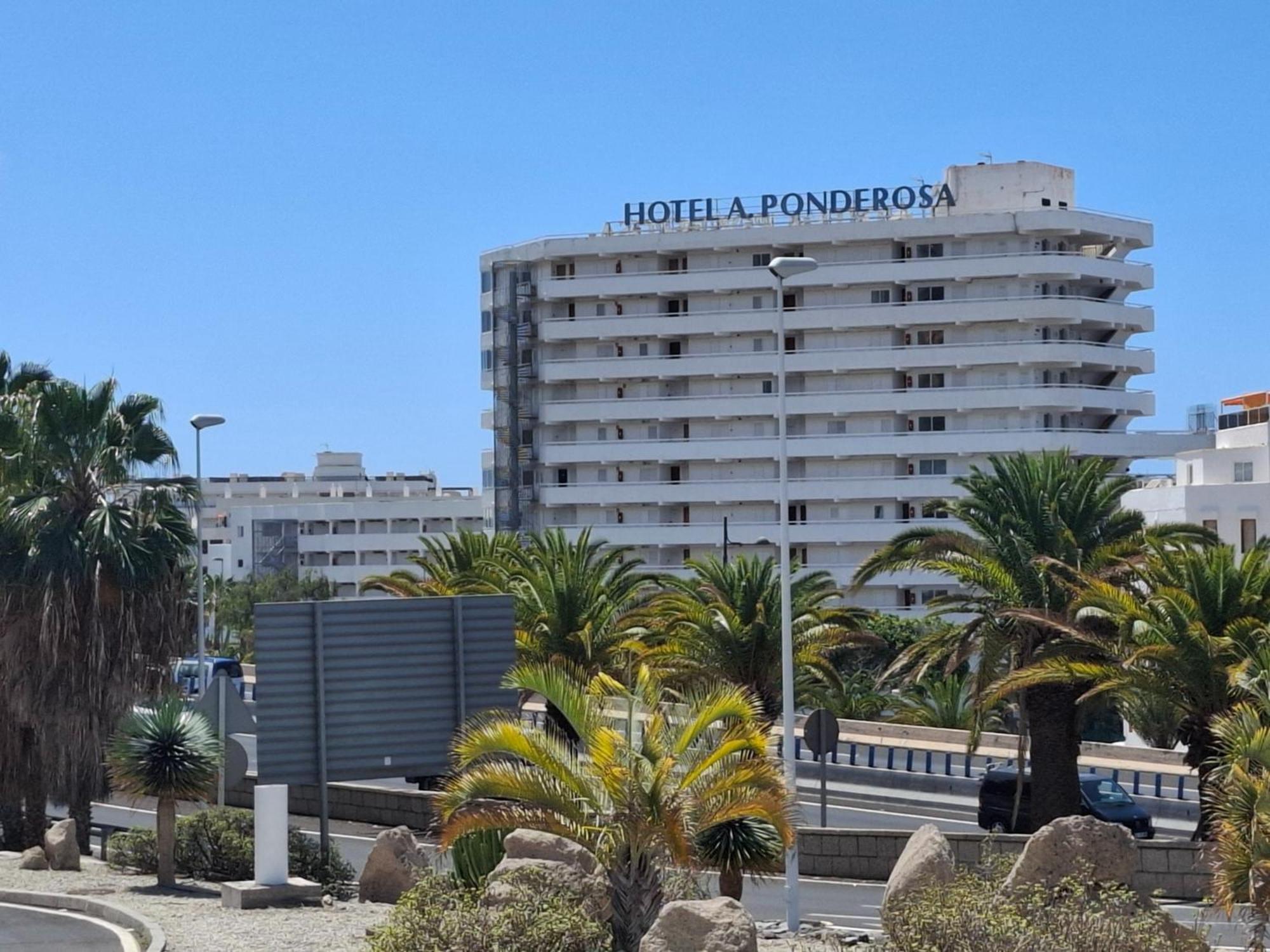 Apartamento Under The Palm Playa de las Américas Exterior foto